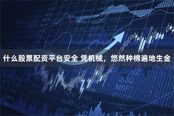 什么股票配资平台安全 凭机械，悠然种棉遍地生金