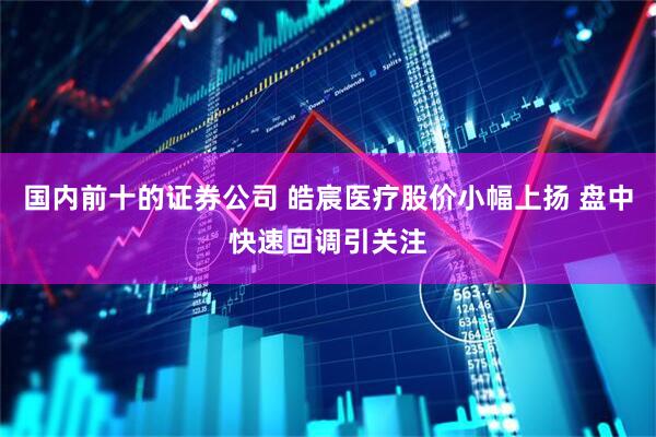 国内前十的证券公司 皓宸医疗股价小幅上扬 盘中快速回调引关注