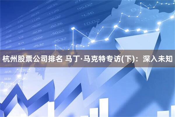 杭州股票公司排名 马丁·马克特专访(下)：深入未知